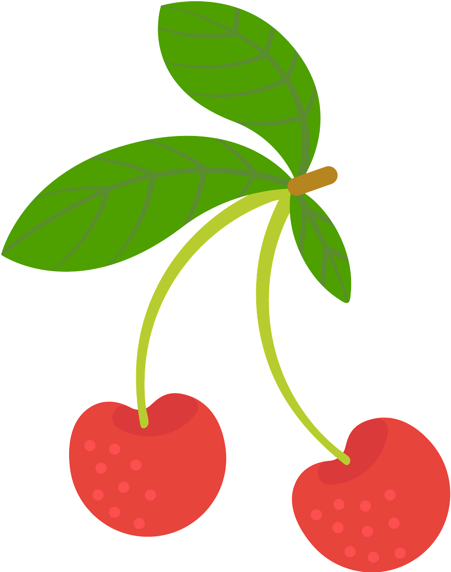 Clip Art - Png Download (1507x1920), Png Download