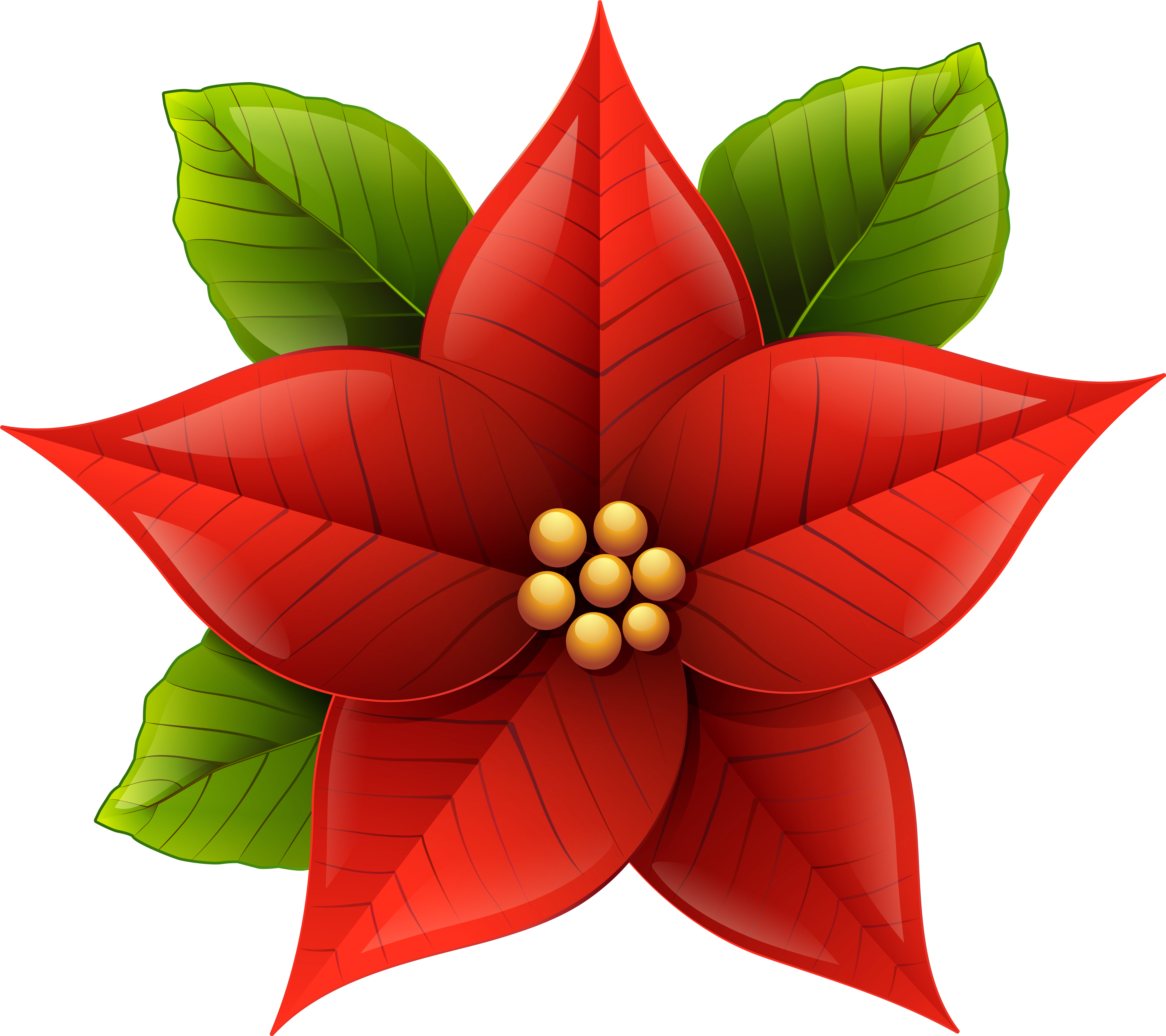 Poinsettia Plant Clipart Image Free Stock Free Poinsettia - Transparent Background Christmas Poinsettia Clipart - Png Download (6414x5697), Png Download