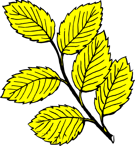 Leaves Clipart Black And White - Png Download (552x594), Png Download