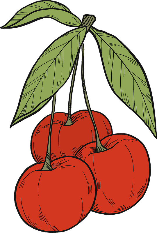 Cherries Clipart - Png Download (540x800), Png Download