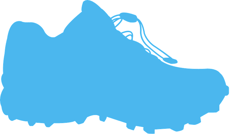 Clip Art - Png Download (800x467), Png Download