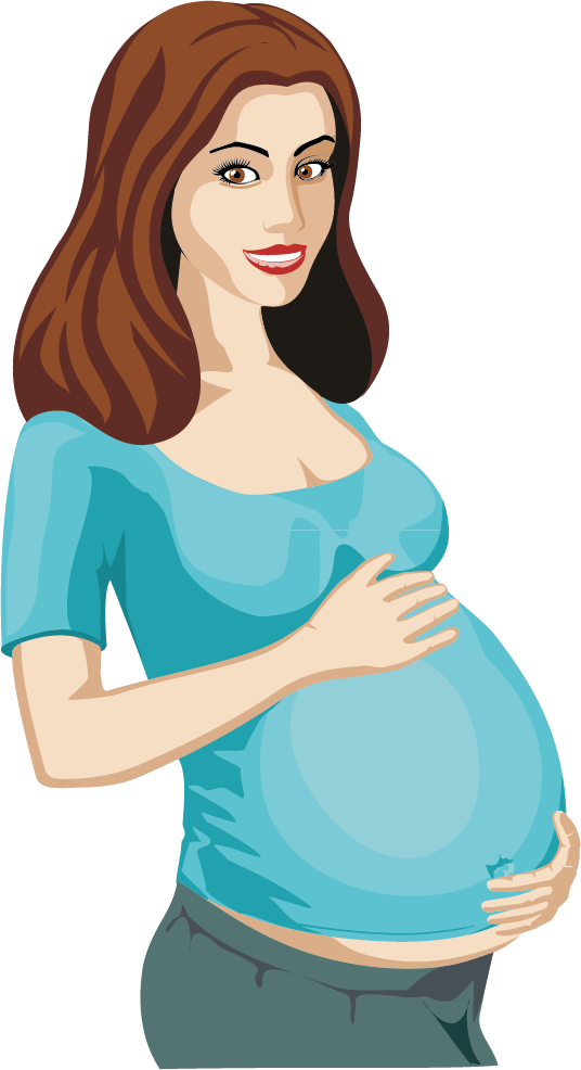 Pregnancy Woman Clip Art - Vector Pregnant Woman Clipart Png Transparent Png (536x986), Png Download