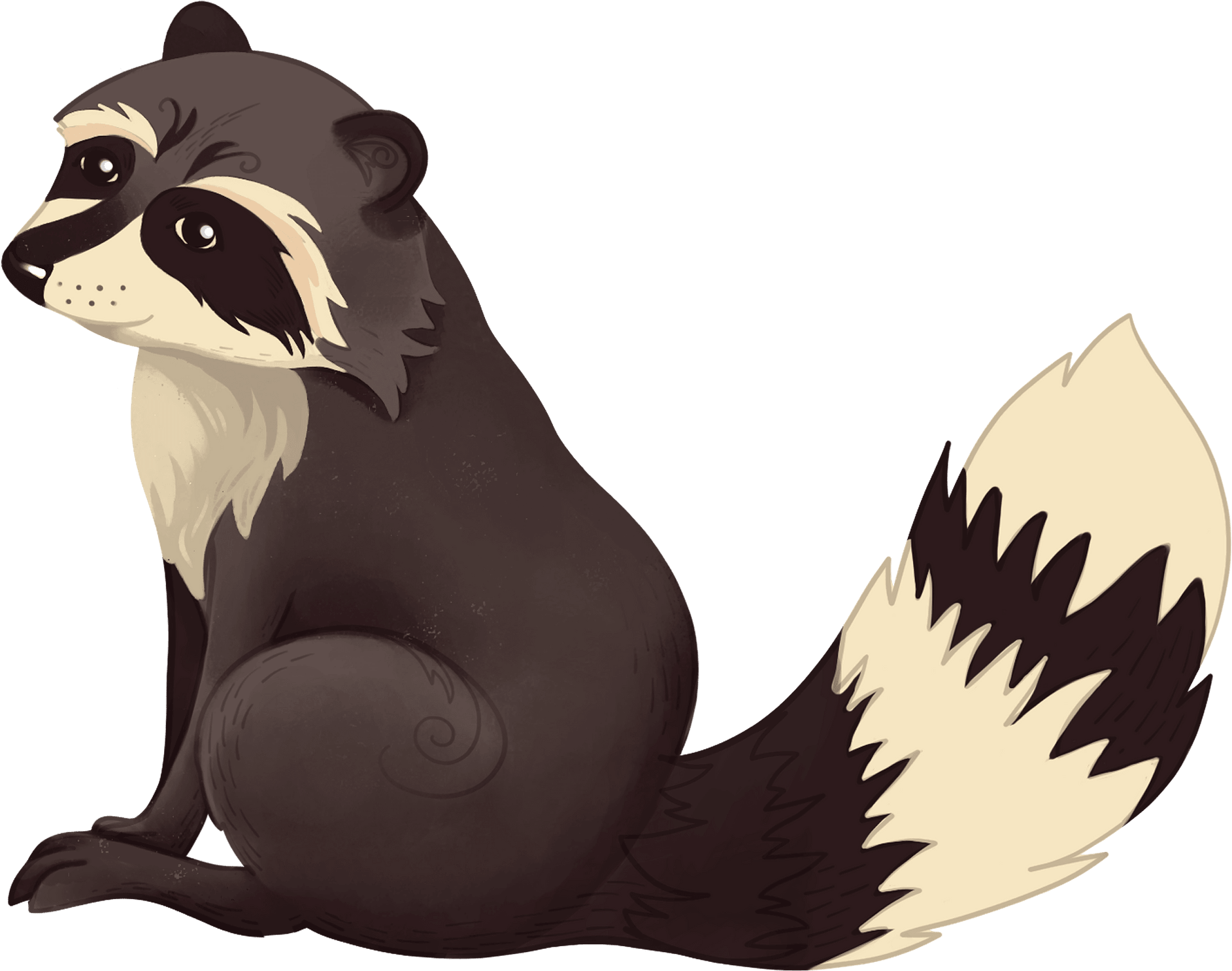 Procyon Clipart (1920x1502), Png Download