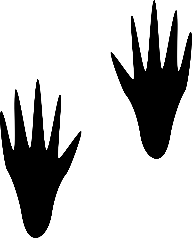 Raccoon Computer Mouse Footprint Computer Icons Pointer - Racoon Footprint Svg Clipart (792x980), Png Download