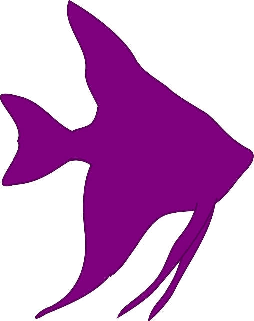 angel-fish-silhouette-png-clipart-full-size-clipart-5275442