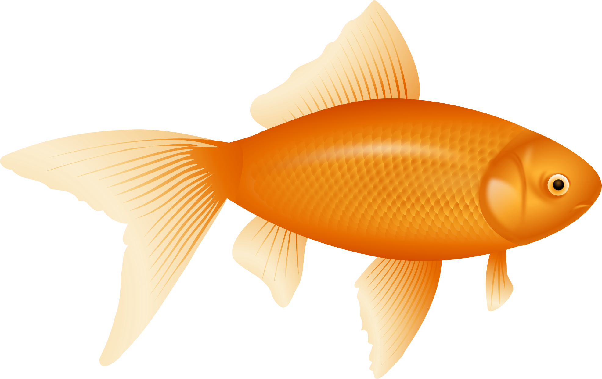 Goldfish Clipart Cheddar - Goldfish Clipart - Png Download (1973x1243), Png Download