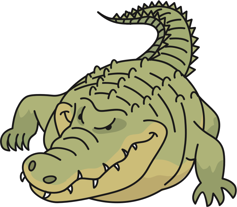 Crocodile Clipart Saltwater Crocodile, Crocodile Saltwater - Saltwater Crocodile Clipart - Png Download (800x702), Png Download