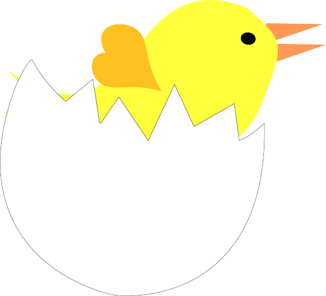 Chick In Cracked Eggshell - Kaip Nupiešti Kiaušinį Visciuka Clipart (600x545), Png Download