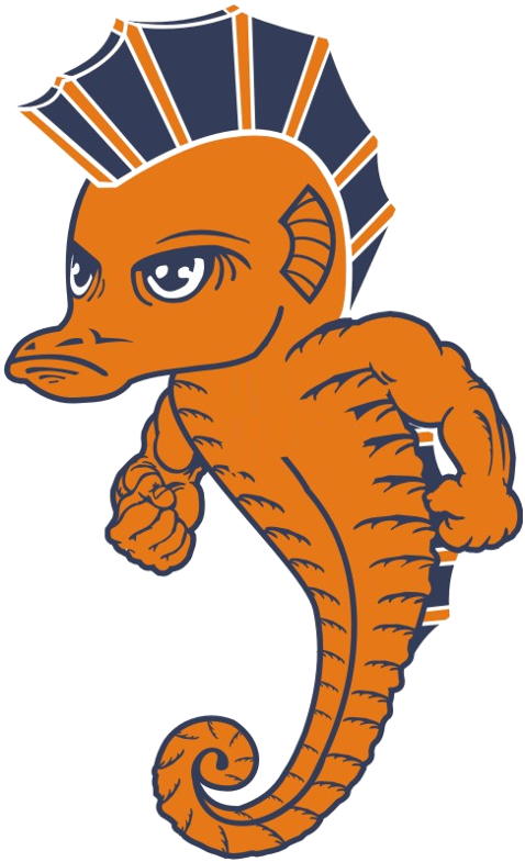 Looking For A Logo - Avery Coonley School Seahorse Clipart (481x793), Png Download