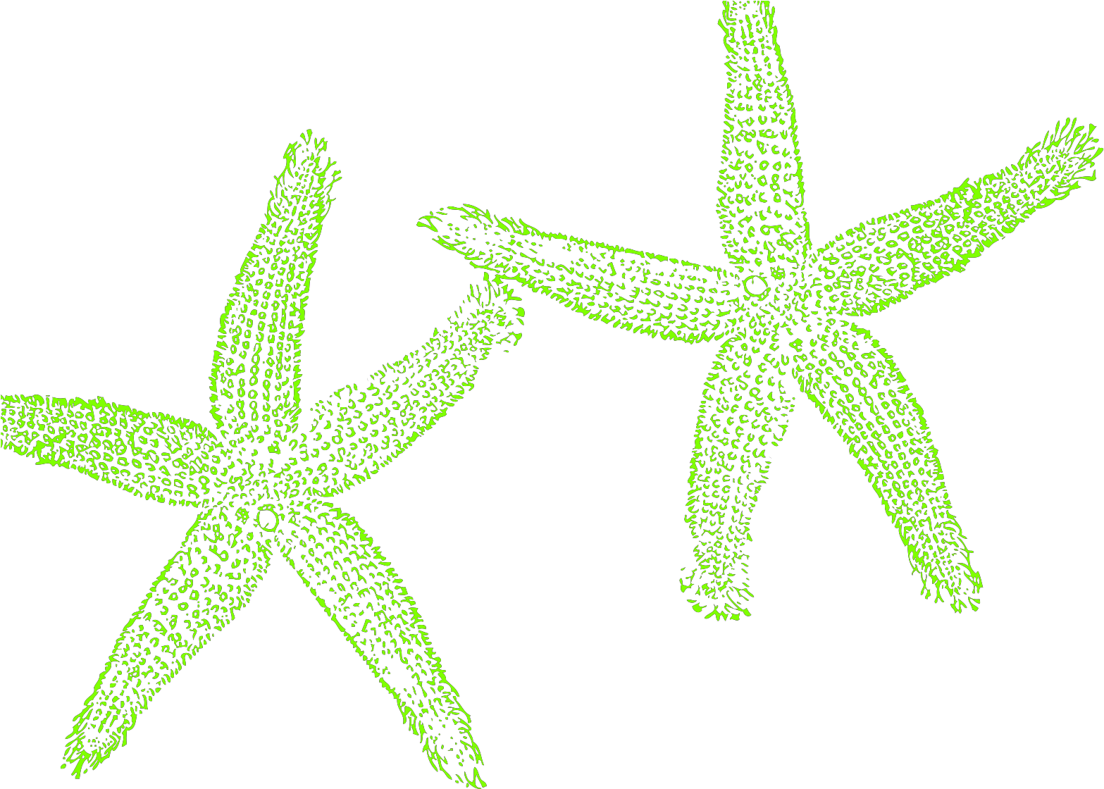 Fish Clip Art - Png Download (1600x1600), Png Download