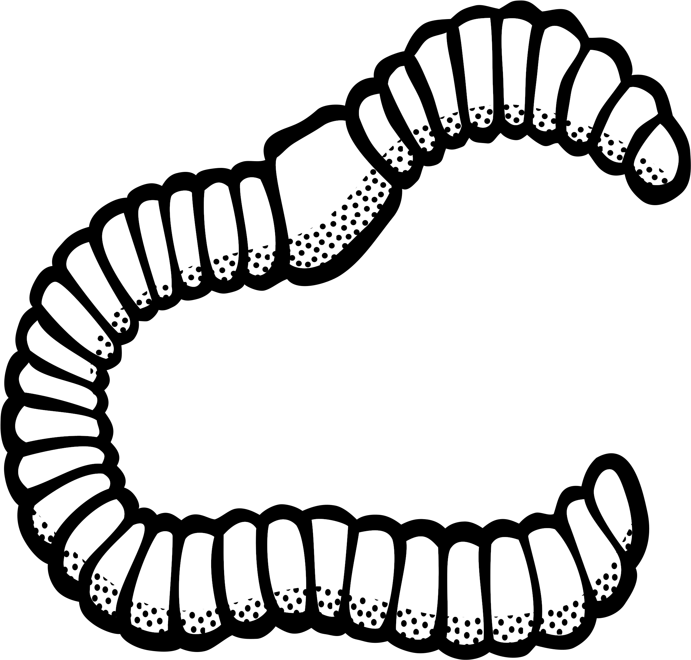 Clipart Worm Lineart - Worm Black And White Clipart - Png Download (2400x2301), Png Download