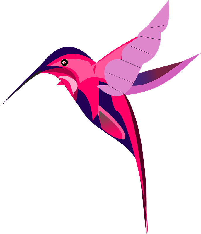Pink Hummingbird Clipart - Clip Art Hummingbird Cartoon - Png Download (686x800), Png Download