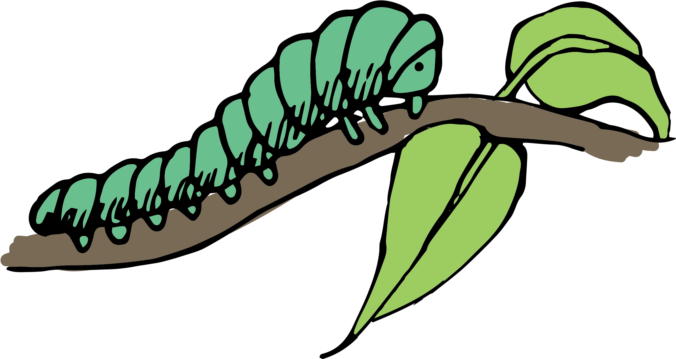 Caterpillar Clip Art - Caterpillar On Branch Clipart - Png Download (2480x2542), Png Download