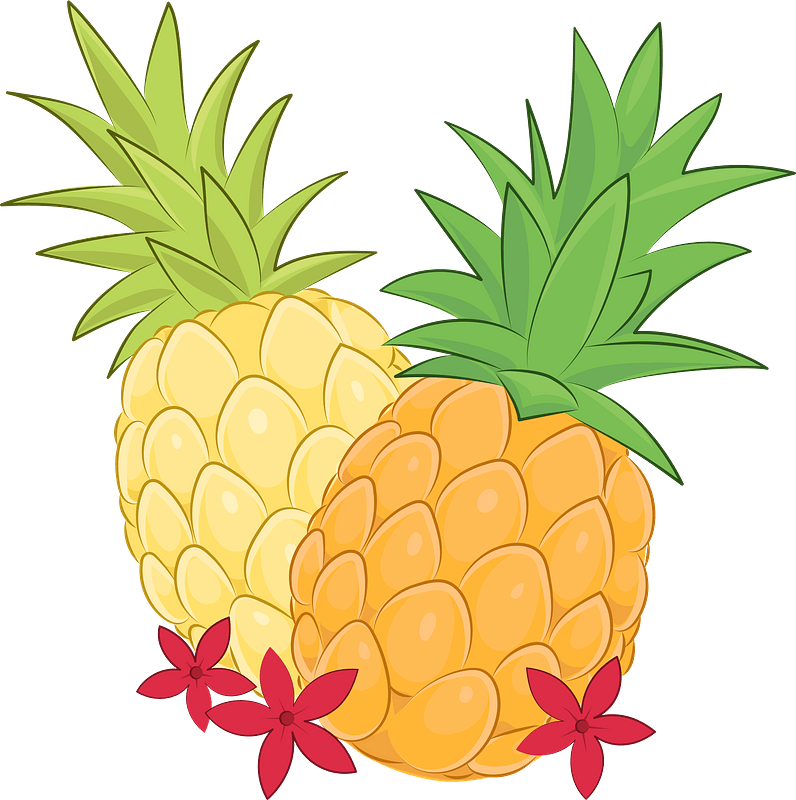 Pineapple Clipart - Pineapple - Png Download (796x800), Png Download