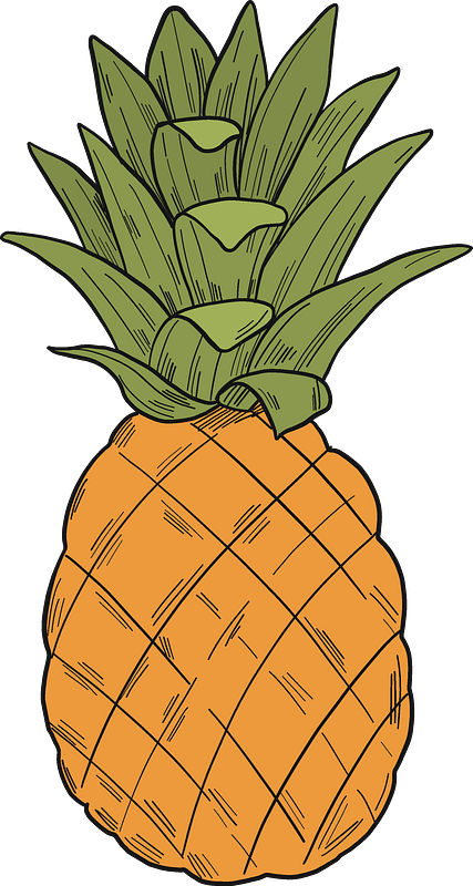 Pineapple Clipart - Pineapple - Png Download (427x800), Png Download