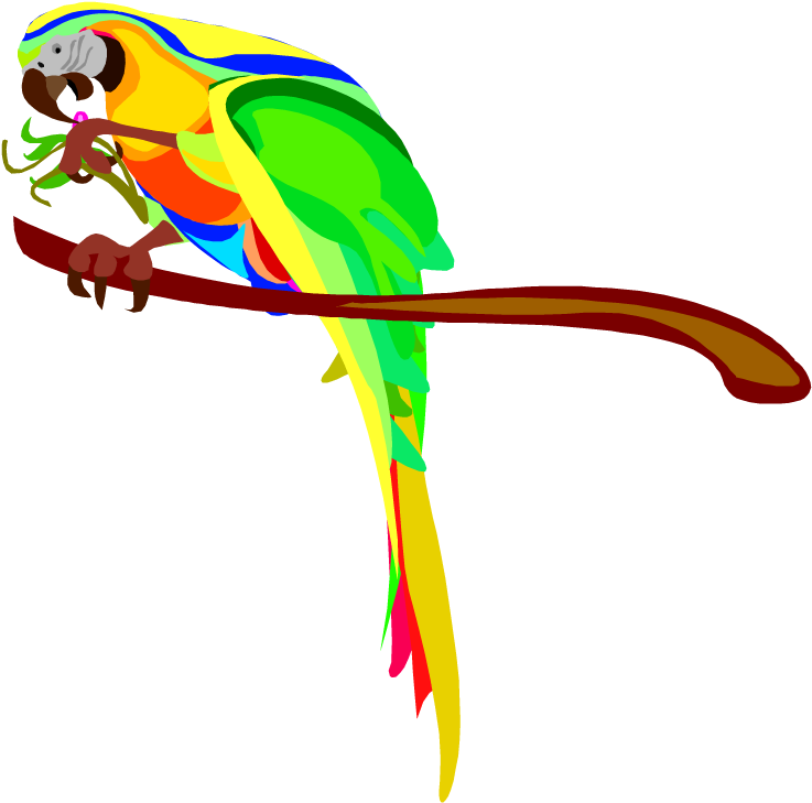 Transparent Eating Clipart - Parrot Eating Clipart - Png Download (737x729), Png Download