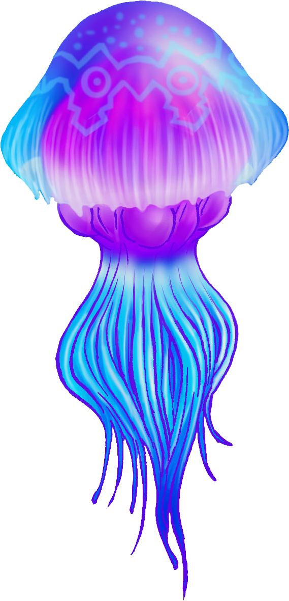 Jellyfish Transparent Png, Picture - Jellyfish Png Gif Clipart (569x1180), Png Download