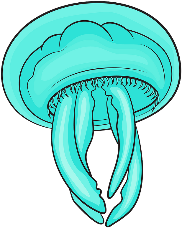 Moon Jellyfishes Clipart - Png Download (654x800), Png Download