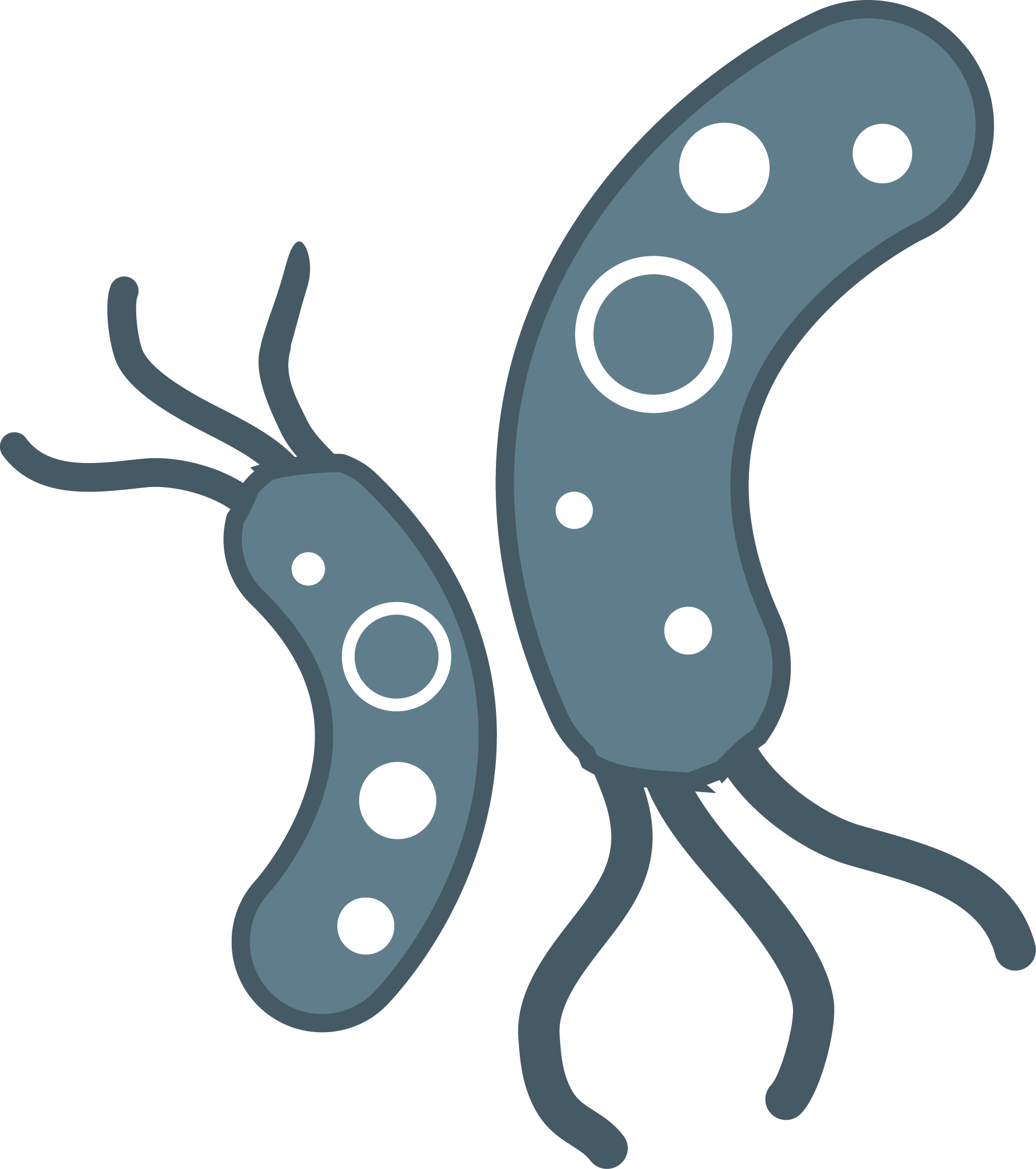 Transparent Images All File - Transparent Background Bacteria Clipart - Png Download (1855x2093), Png Download