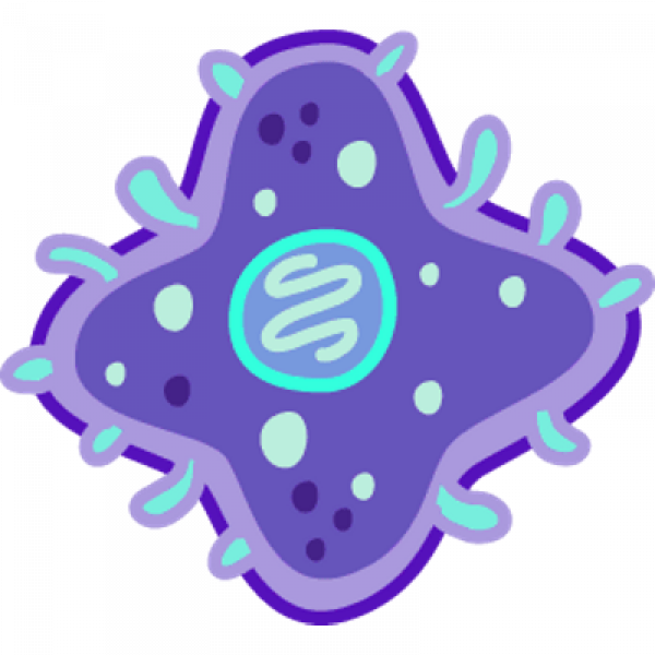 Bacterias Png Clipart (600x600), Png Download