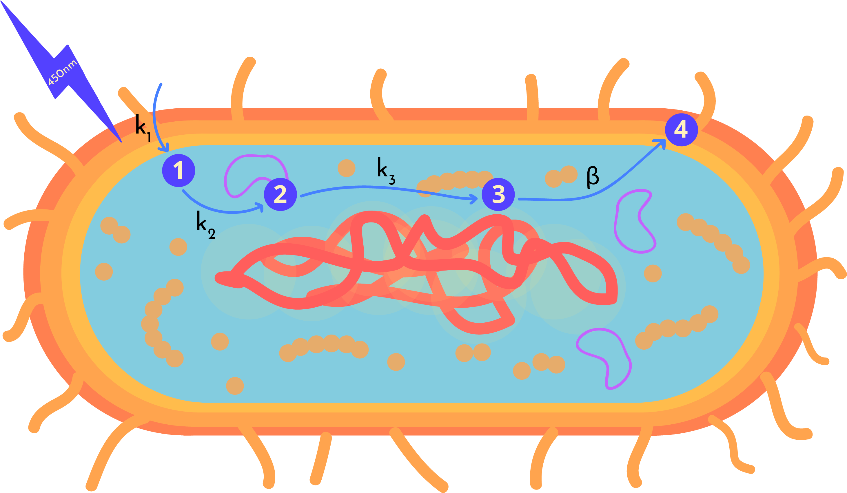 Clip Art - Png Download (2933x1711), Png Download