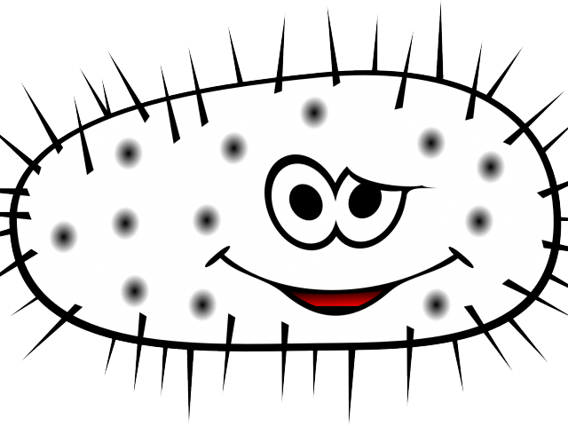 Bacteria Cliparts Png - Transparent Background Germ Clipart (640x480), Png Download