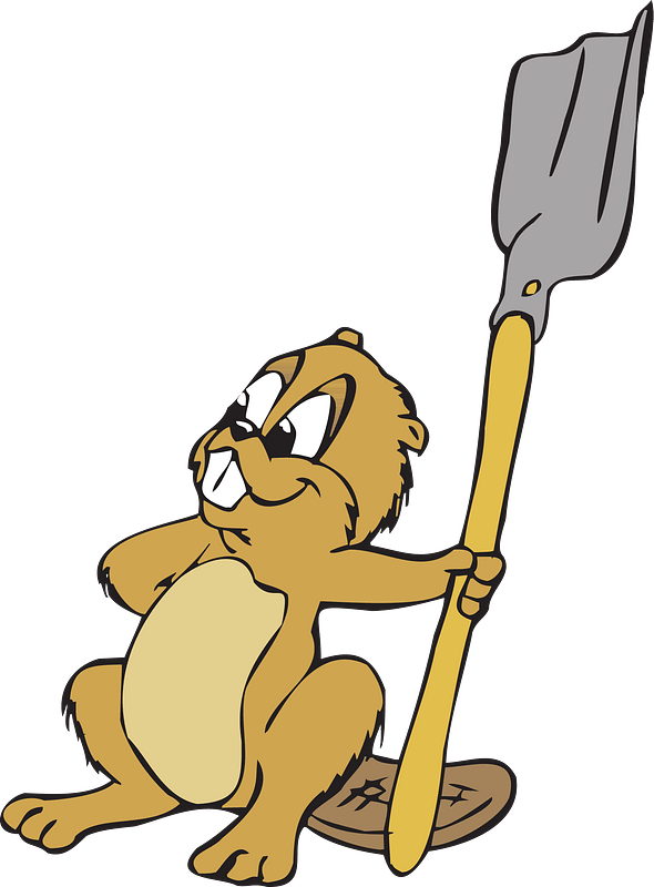 Beaver With A Shovel Clipart - Animals Planting Trees - Png Download (590x800), Png Download