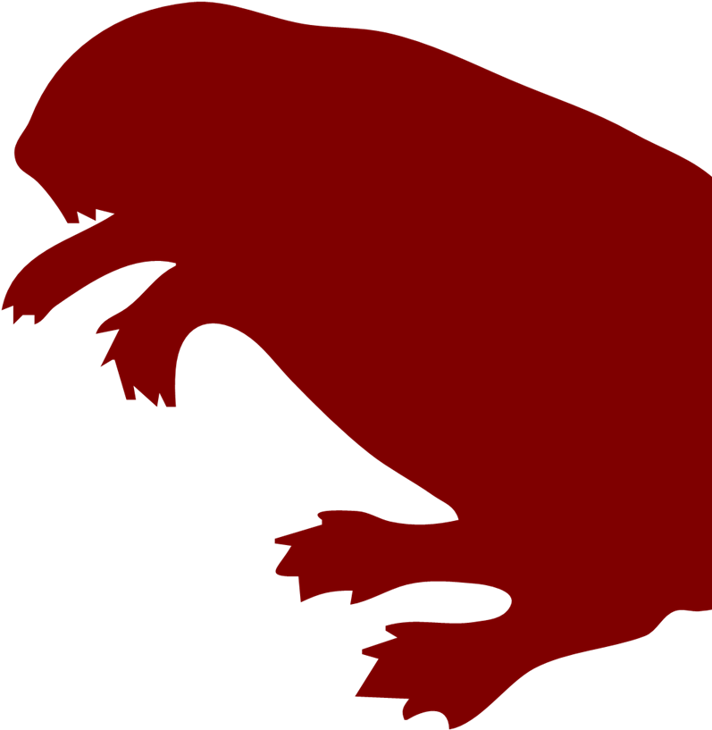 Beaver Clip Art - Png Download (1024x1024), Png Download