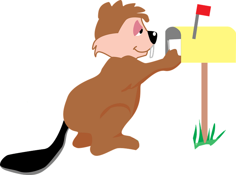 Beaver Receiving Mail Clipart - Letter - Png Download (800x593), Png Download