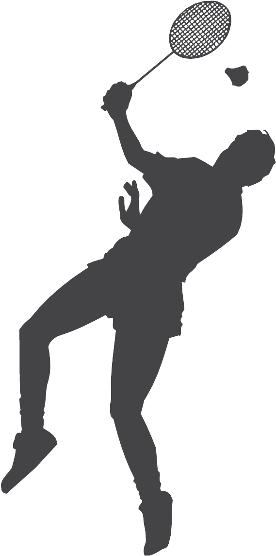 Transparent Badminton Clipart - Transparent Background Badminton Clipart - Png Download (569x1144), Png Download