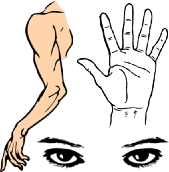 Clip Art Palm Hand - Png Download (600x600), Png Download
