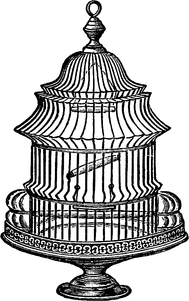 Birdcage Clipart Transparent - Vintage Bird Cage Graphic - Png Download (650x1033), Png Download