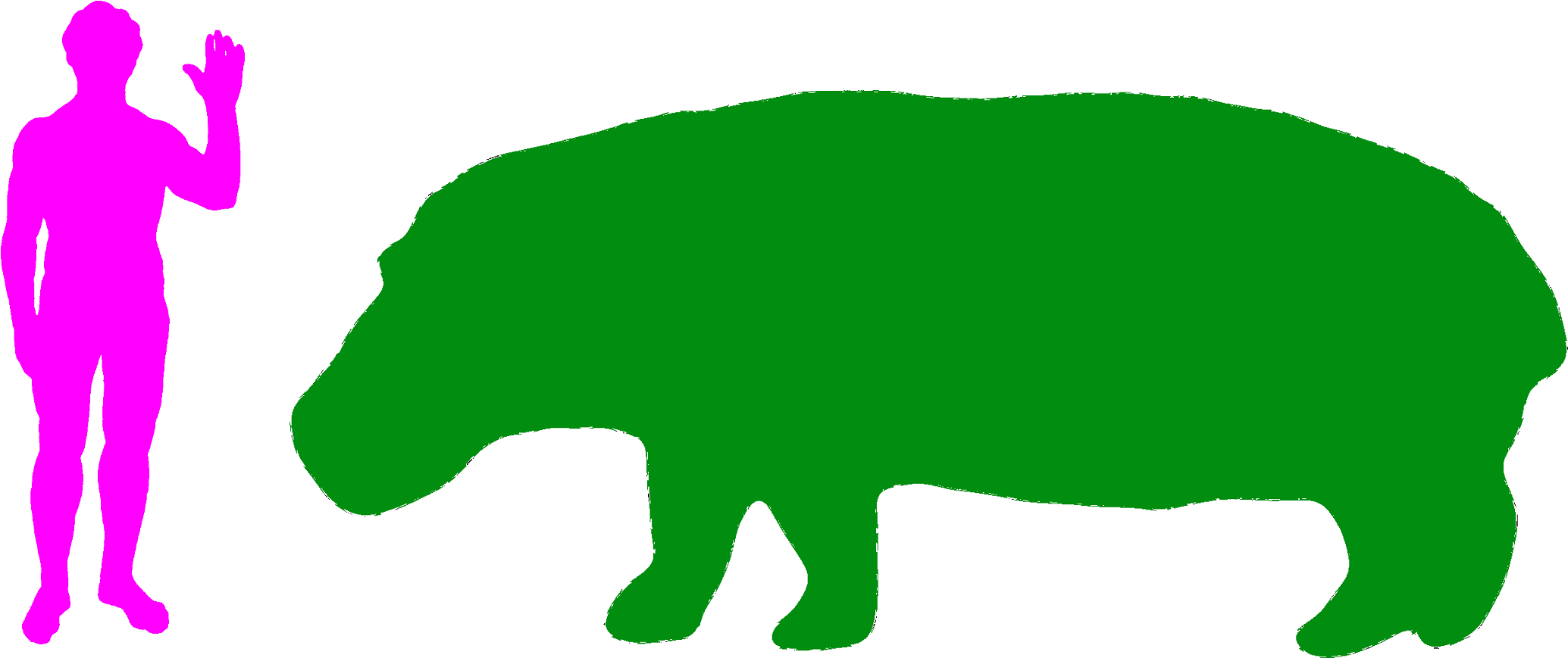 Clipart Mouth Hippo - Giraffe Compared To Human - Png Download (2157x921), Png Download