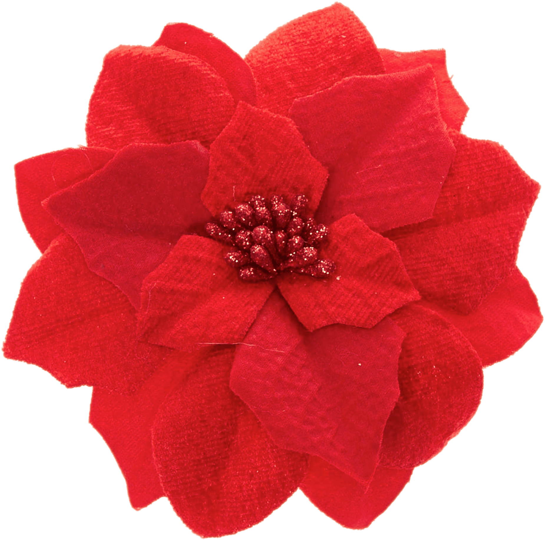 Transparent Christmas Poinsettia Clipart - Poinsettia - Png Download (1850x1833), Png Download