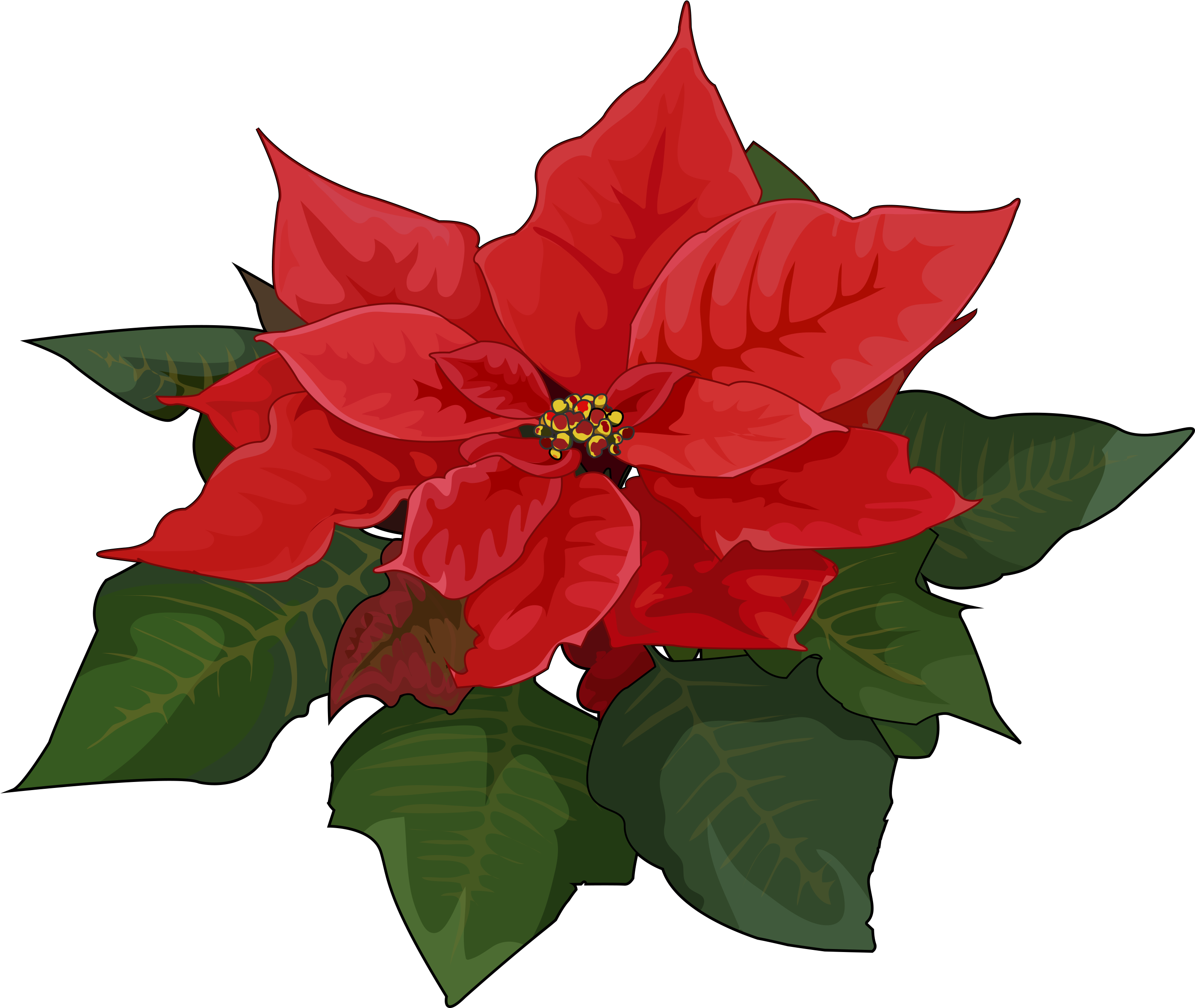 Transparent Pascuas Png - Transparent Christmas Flowers Png Clipart (2795x2359), Png Download