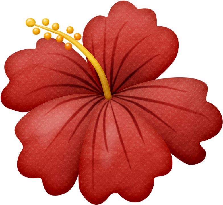 Hibiscus Clipart Beachy - Drawing Of One Flower - Png Download (800x741), Png Download