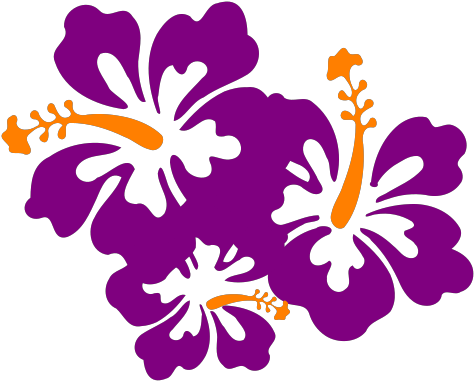 Hibiscus Svg Clip Arts - Transparent Background Hibiscus Flower Clipart - Png Download (1024x1024), Png Download