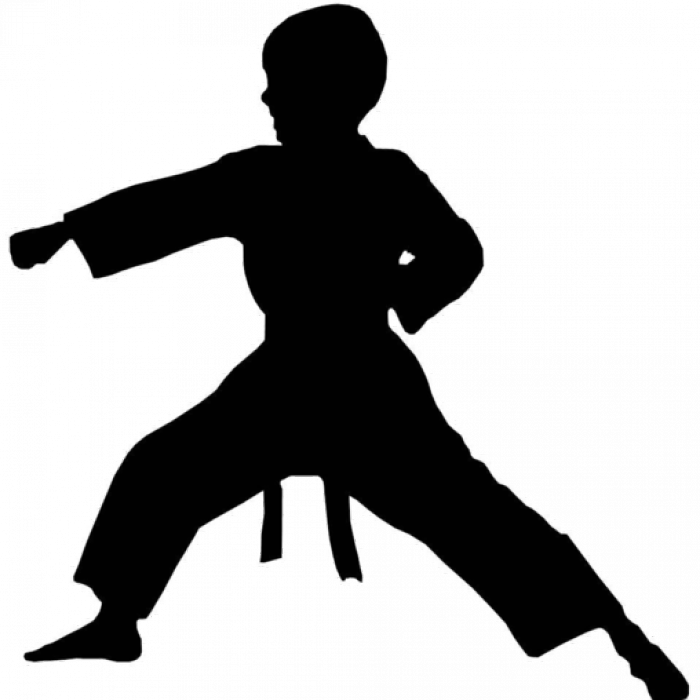 Transparent Karate Kid Silhouette - Silhouette Singer Clipart - Png Download (700x700), Png Download