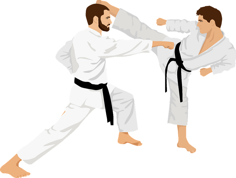 Karate Clipart - Png Download (300x227), Png Download