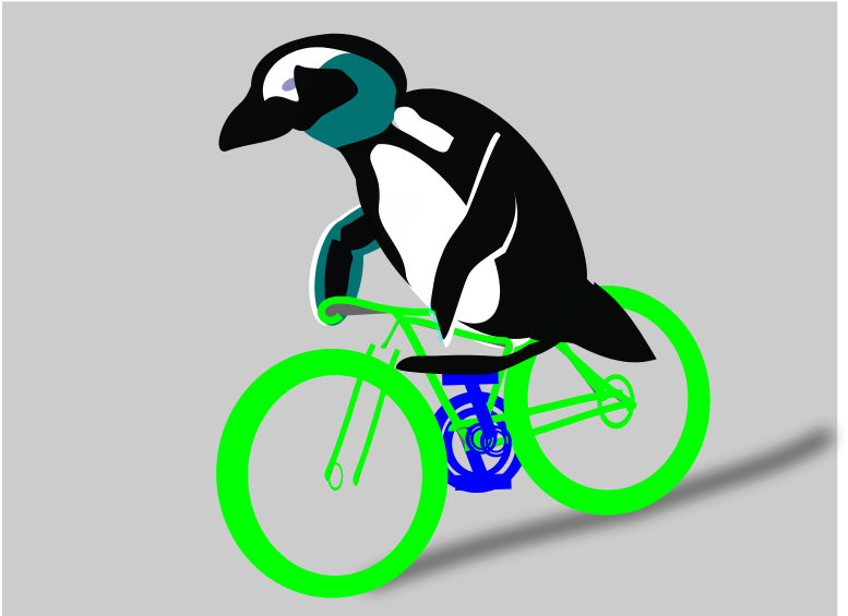 Cycling Penguin - Cartoon Clipart (800x566), Png Download