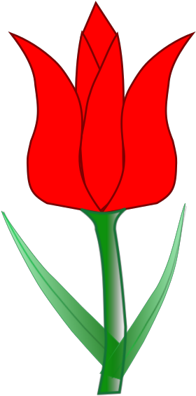 Tulip Svg Clip Arts - Clip Art - Png Download (1024x1024), Png Download
