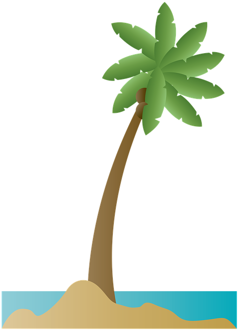 Bay Tree Png