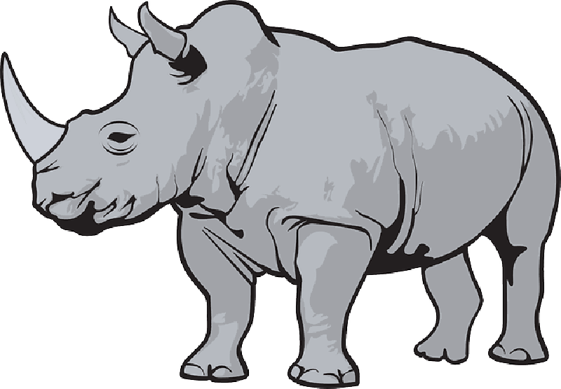 Transparent Rhino Clipart - Rhino Clipart - Png Download (800x556), Png Download
