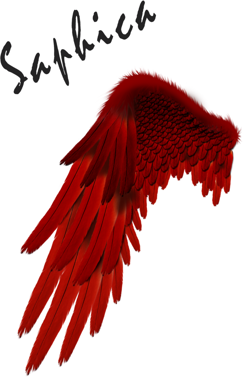 Free Download Devil Clipart Devil Angel Demon - Red Angel Wings Png Transparent Png (785x1209), Png Download