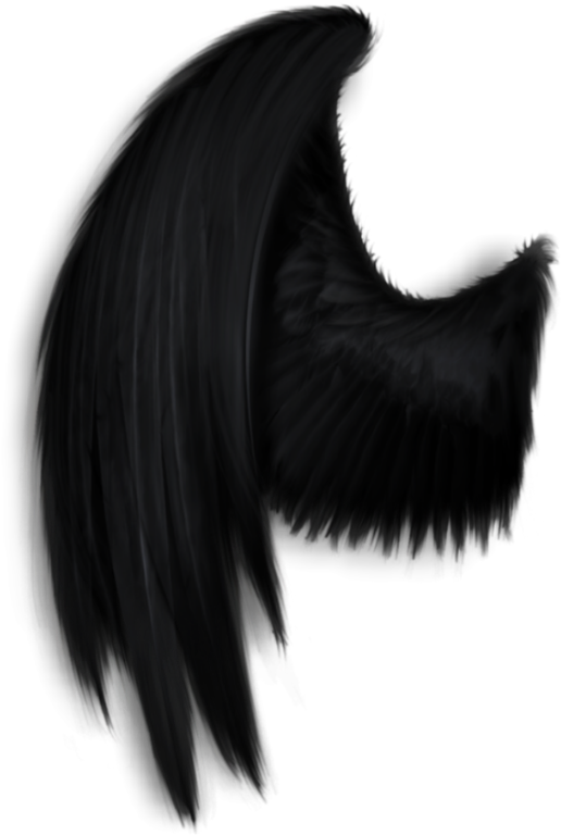 #darkangel #angelwings #angels #angel #wings #feathers - Black Wings Angel Png Clipart (516x768), Png Download
