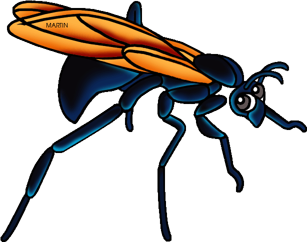 New Mexico State Insect Tarantula Hawk Wasp - Tarantula Hawk Wasp Drawing Clipart (648x520), Png Download