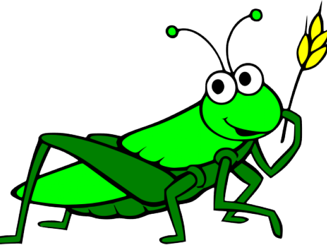 Clip Freeuse Download Grasshopper Clipart Cartoon - Grasshopper Clipart Transparent - Png Download (640x480), Png Download