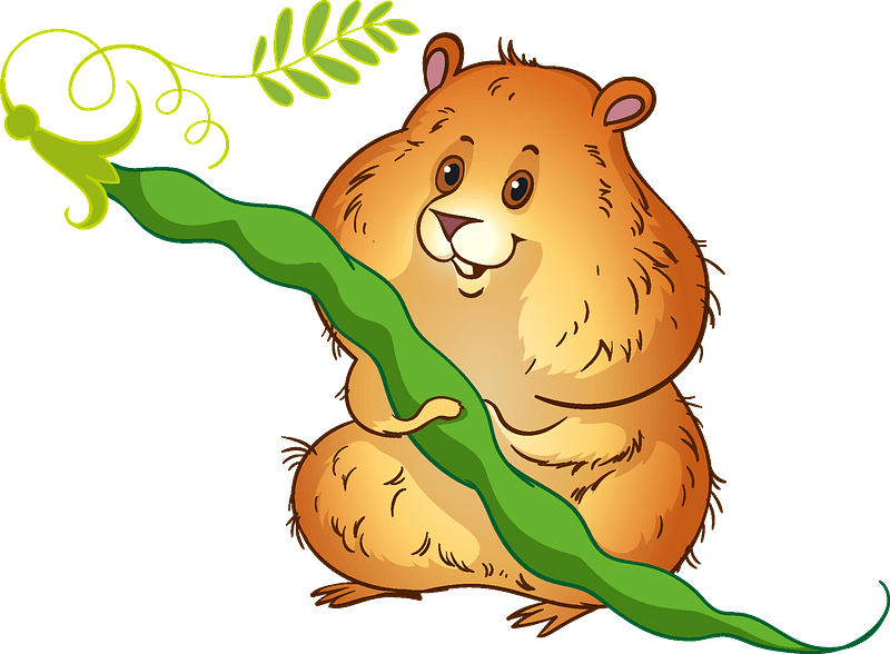 Hamster Clipart - Cartoon - Png Download - Full Size Clipart (#5284381