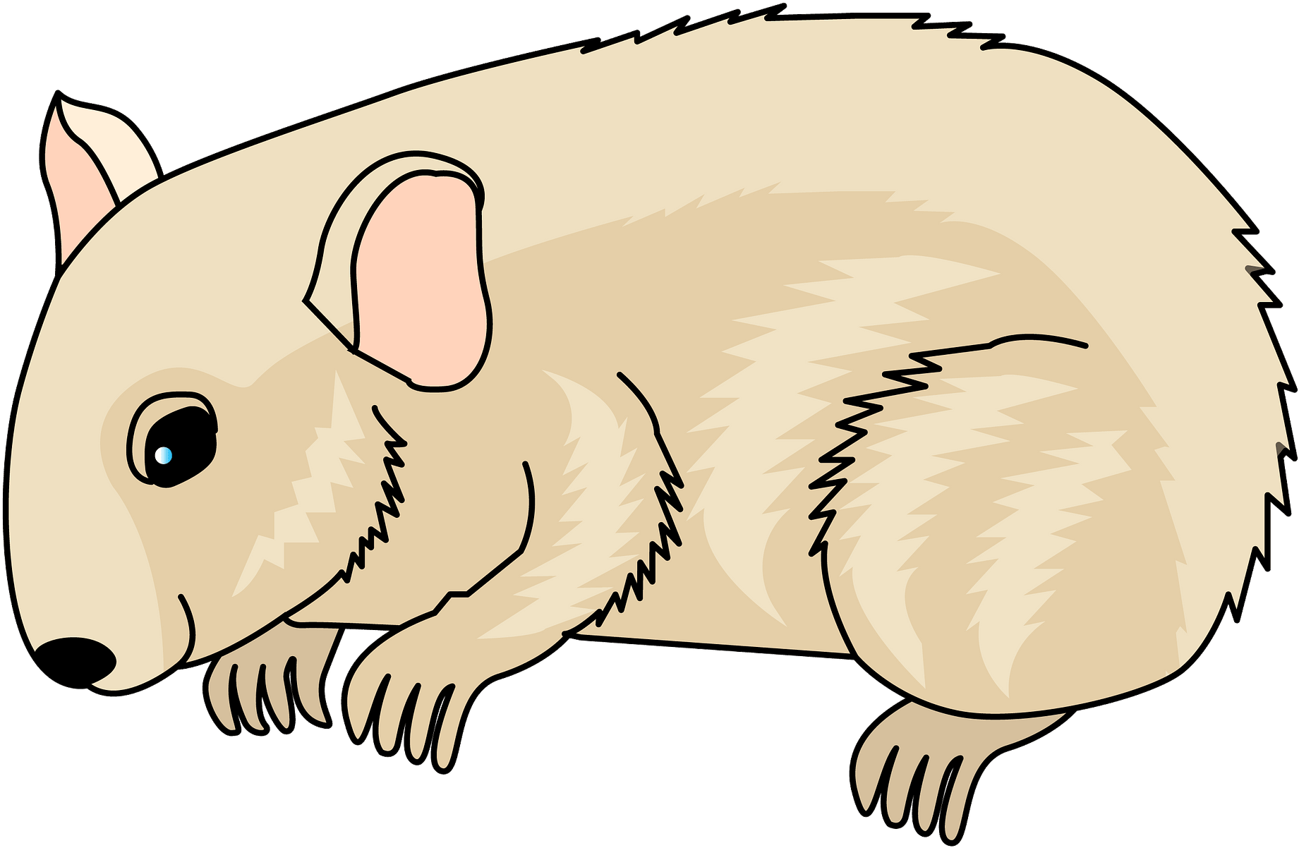 Dog Clipart (1920x1235), Png Download