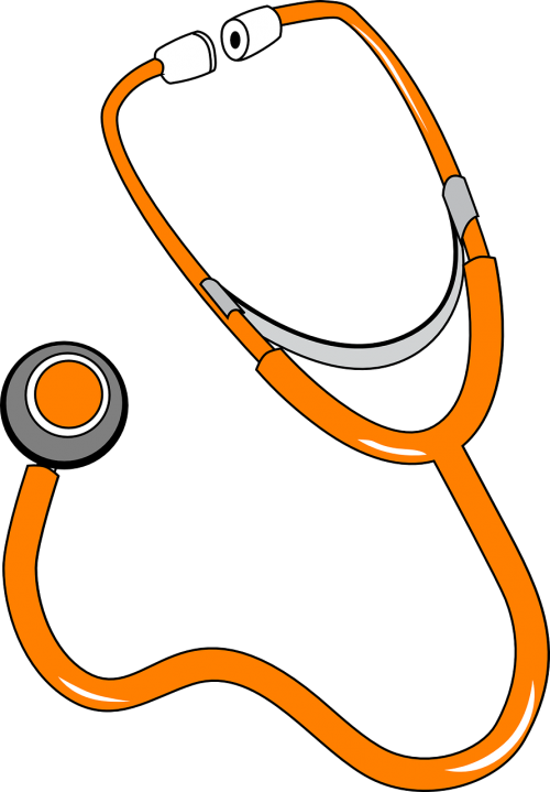 Stethoscope Equipment Medical - Stethoscope Clipart - Png Download (500x719), Png Download